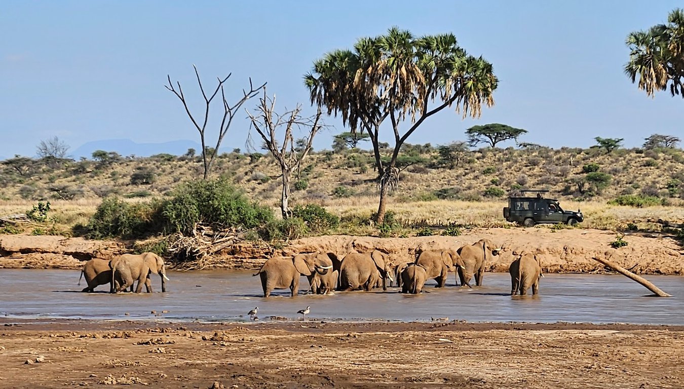 Buffalo Springs National Reserve
