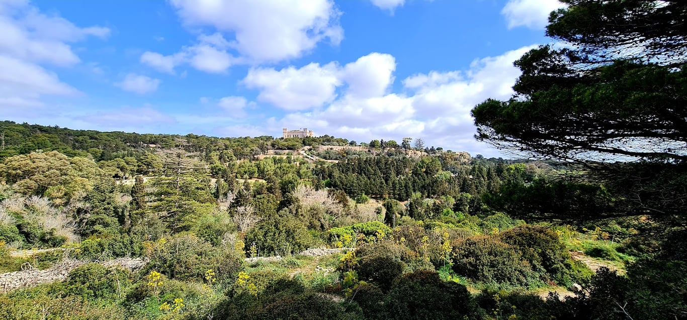 Buskett Gardens & Verdala Palace