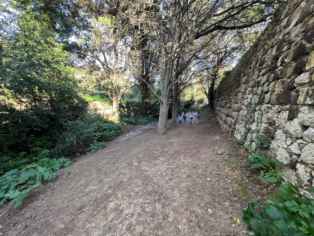 Buskett Gardens & Verdala Palace