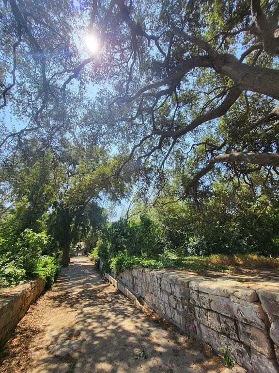 Buskett Gardens & Verdala Palace