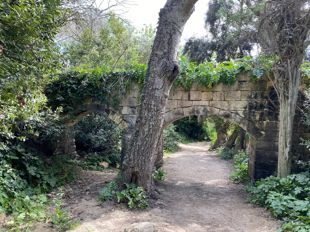 Buskett Gardens & Verdala Palace