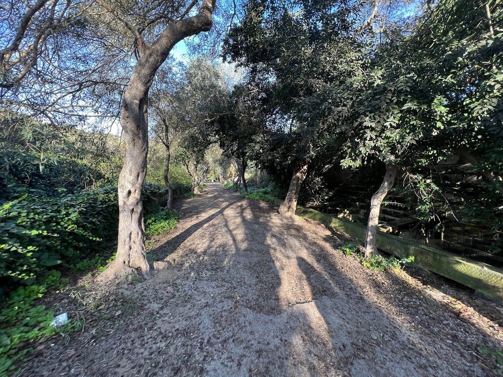 Buskett Gardens & Verdala Palace