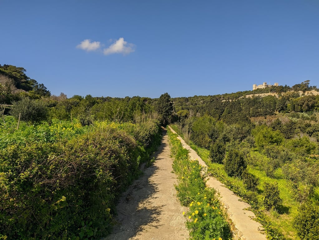 Buskett Gardens & Verdala Palace