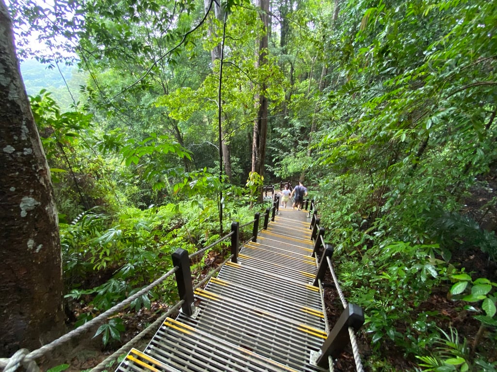 Bukit Timah Nature Reserve