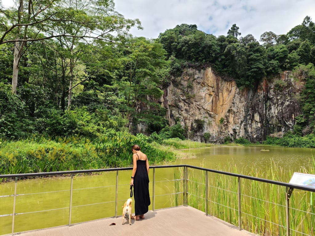 Bukit Timah Nature Reserve