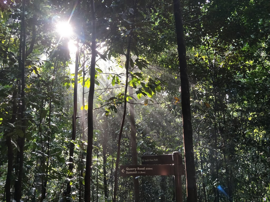 Bukit Timah Nature Reserve