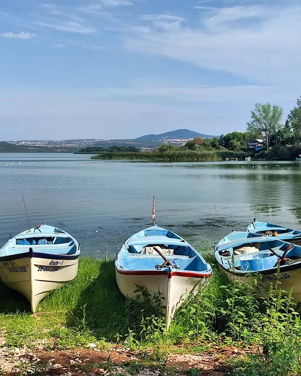 Gölyazı