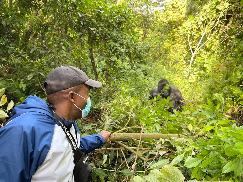 Bwindi Impenetrable Forest