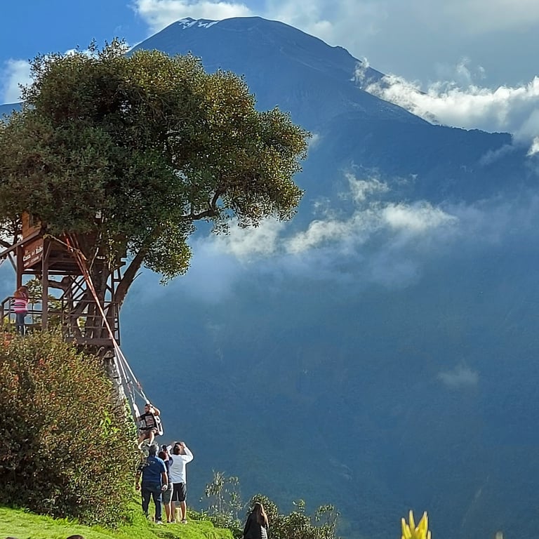 Casa del Árbol