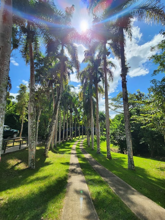 Caguana Indigenous Park