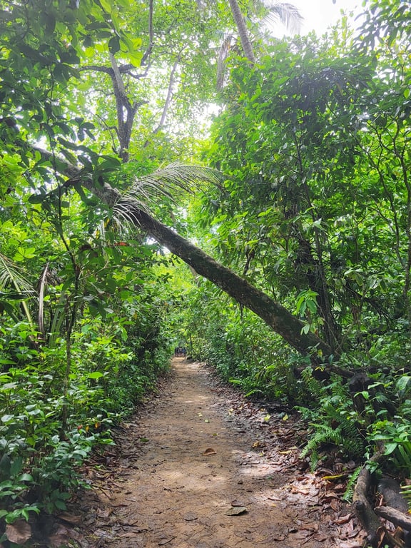 Cahuita National Park