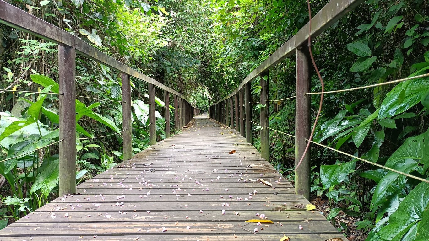 Cahuita National Park