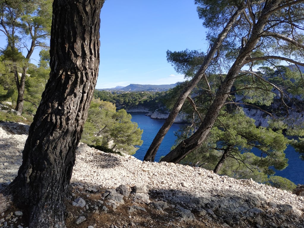 Calanques of Cassis