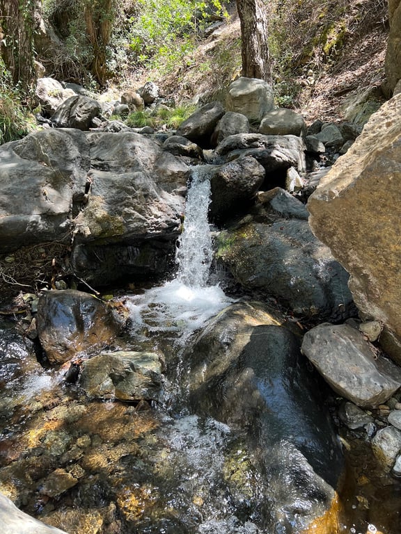 Caledonia Waterfalls