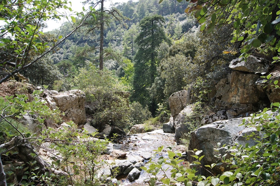 Caledonia Waterfalls