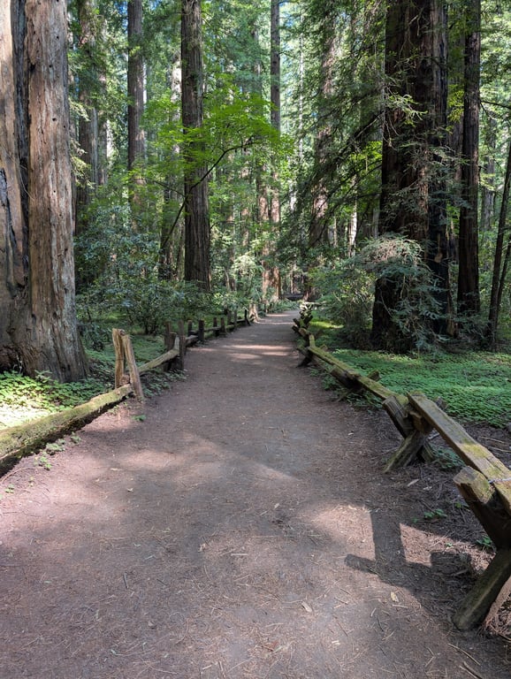 Armstrong Redwoods Reserve