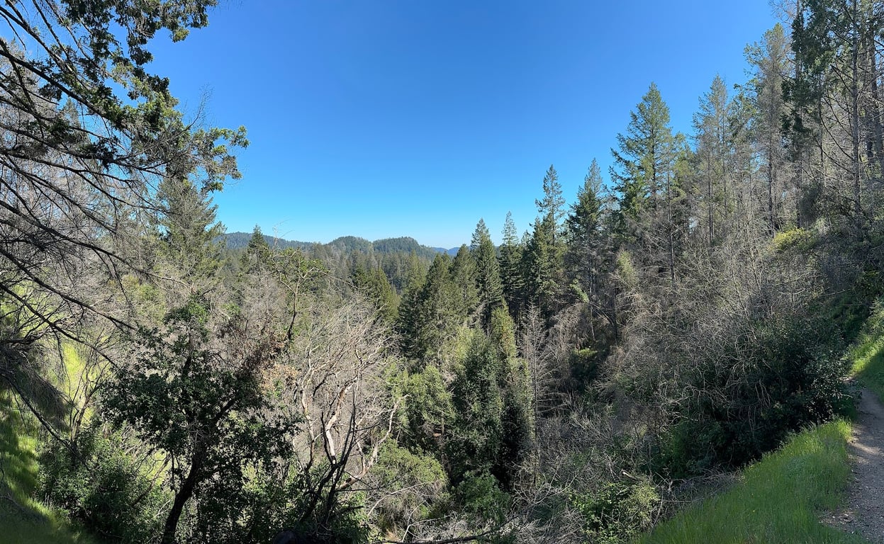 Armstrong Redwoods Reserve