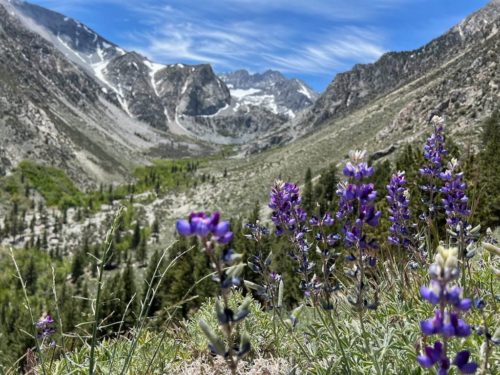 Big Pine Lakes