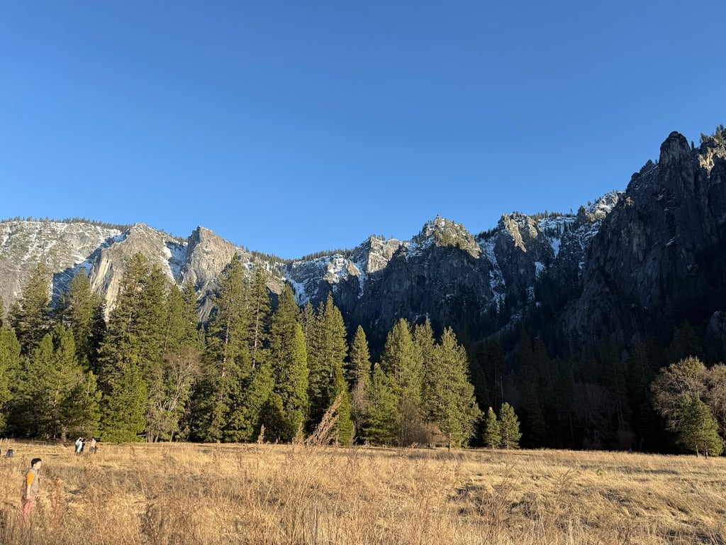 El Capitan Meadow