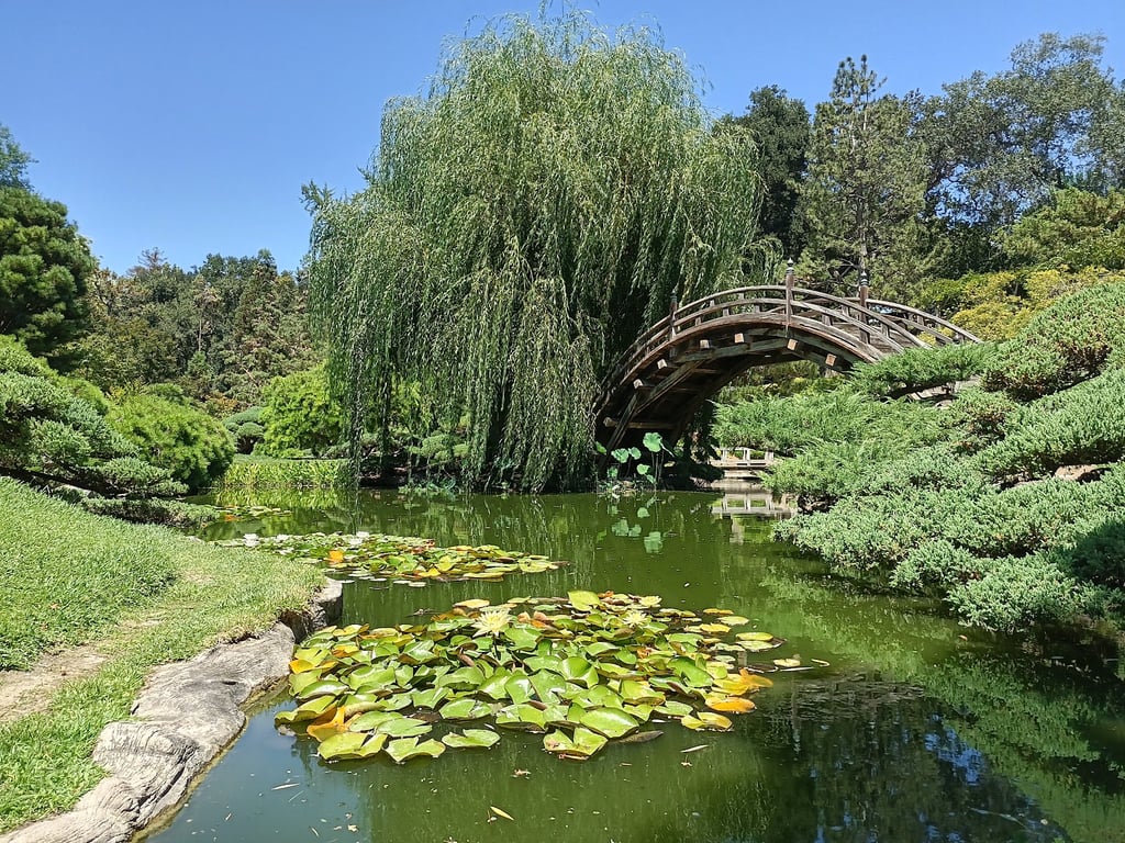 Japanese Gardens