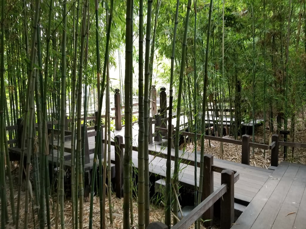 Japanese Gardens