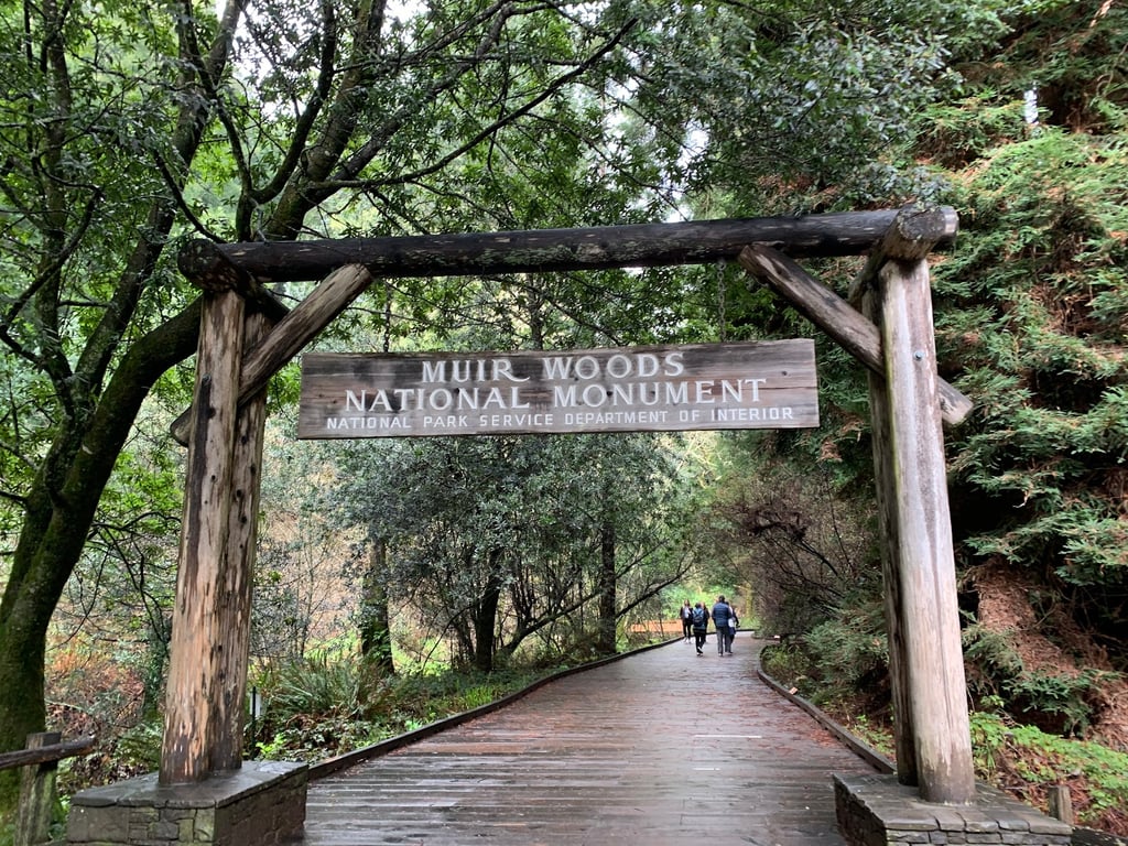 Muir Woods National Monument