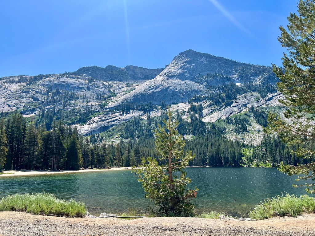 Olmsted Point