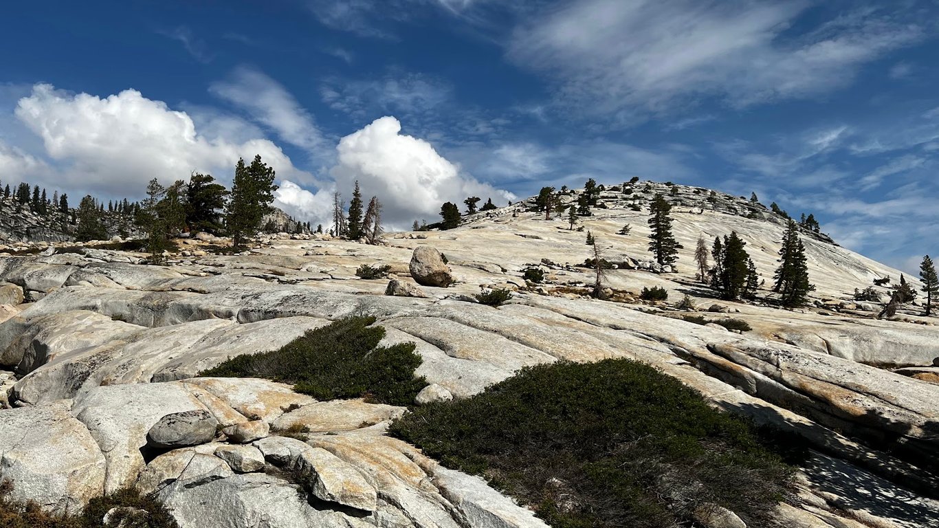 Olmsted Point