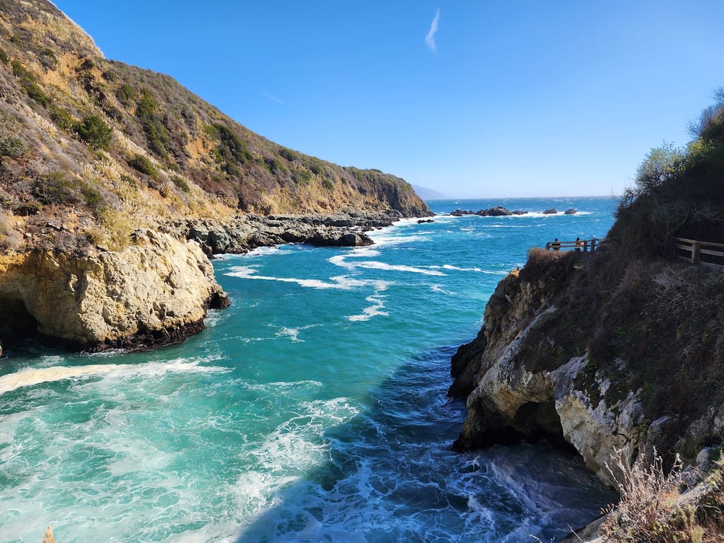 Partington Cove