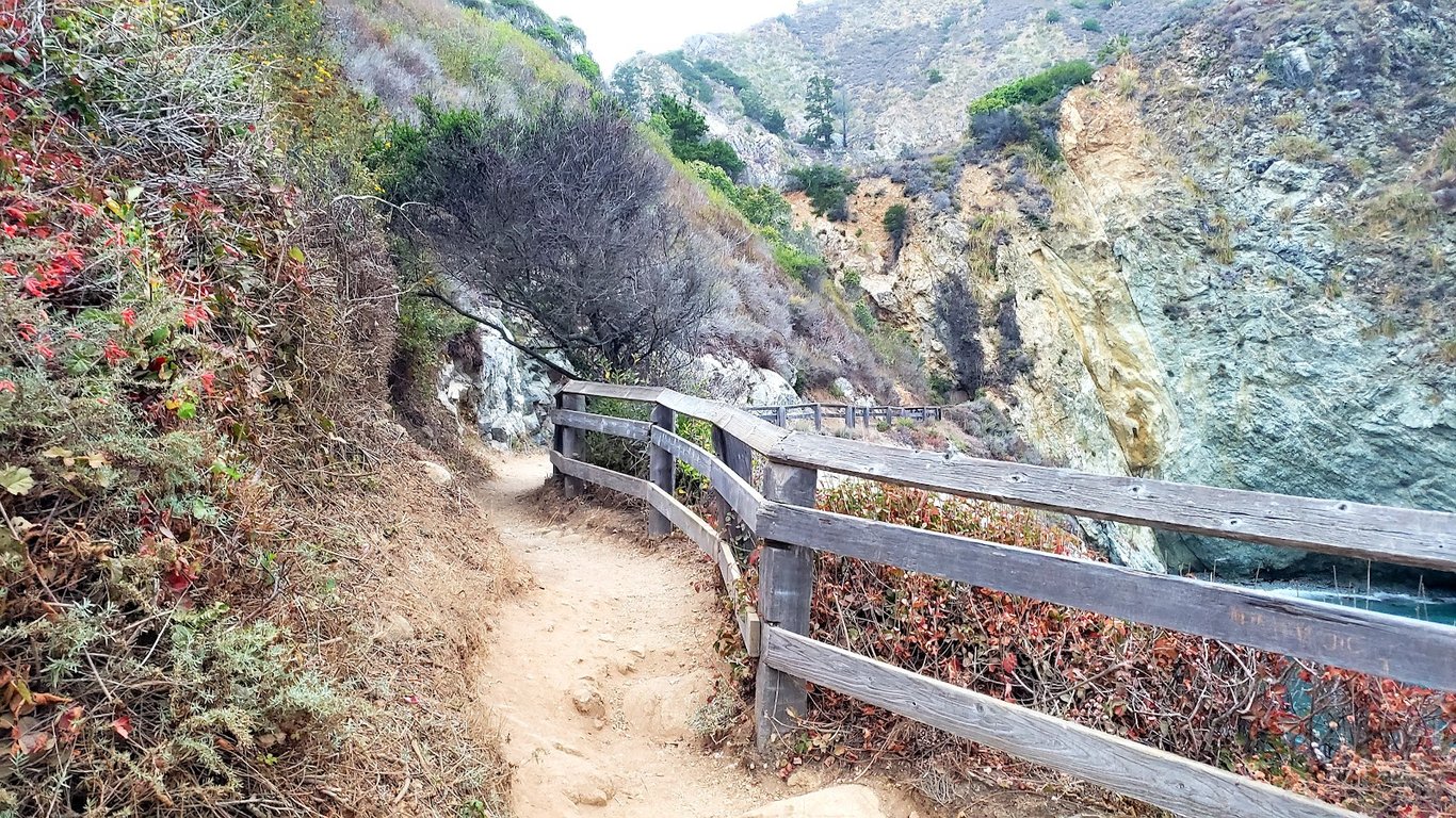 Partington Cove