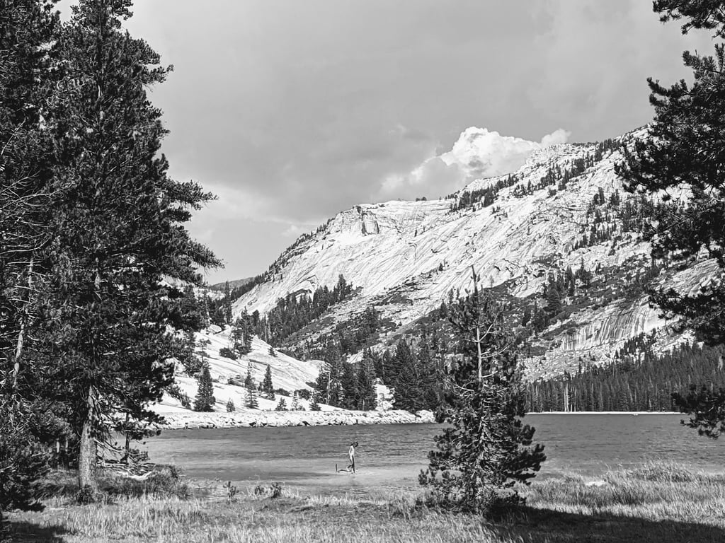 Tenaya Lake