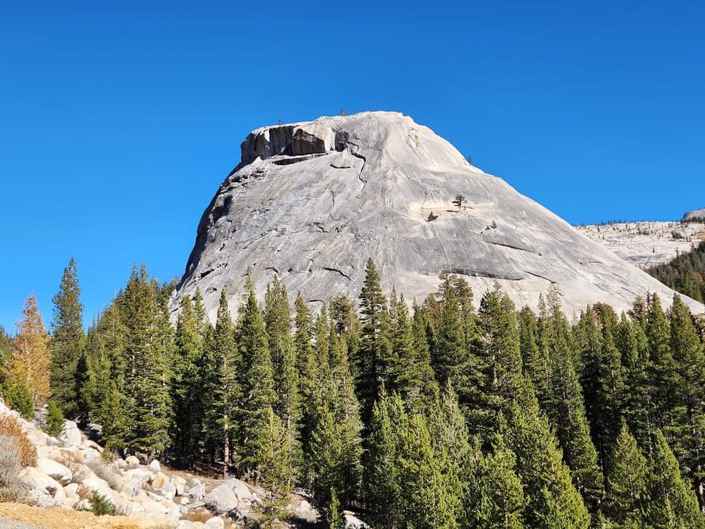 Tenaya Lake