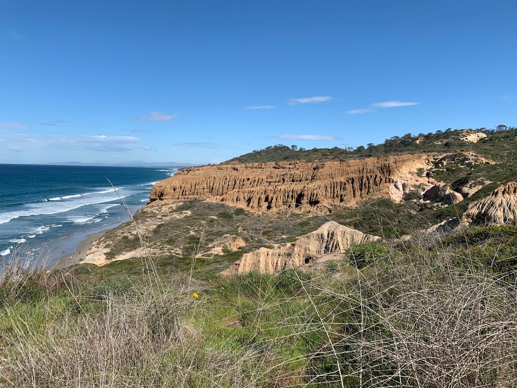 Torrey Pines State Reserve