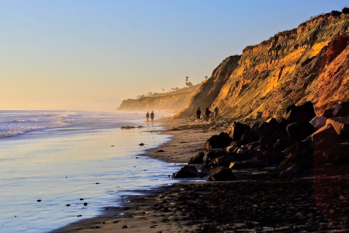 Torrey Pines State Reserve