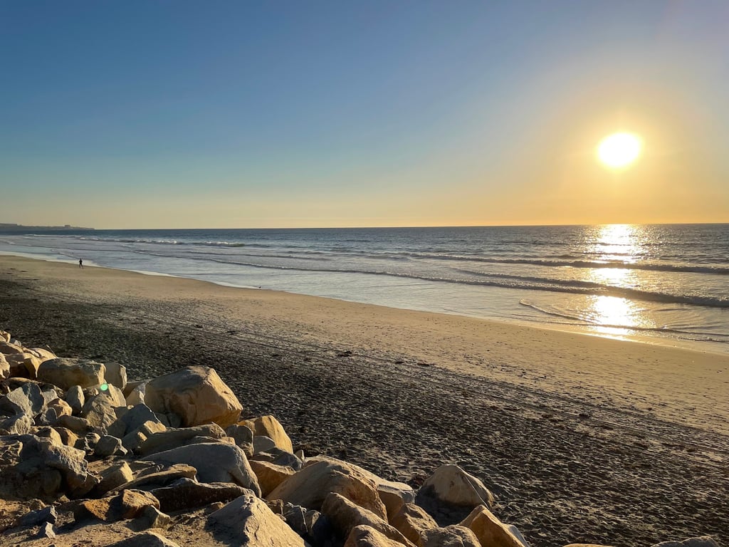 Torrey Pines State Reserve