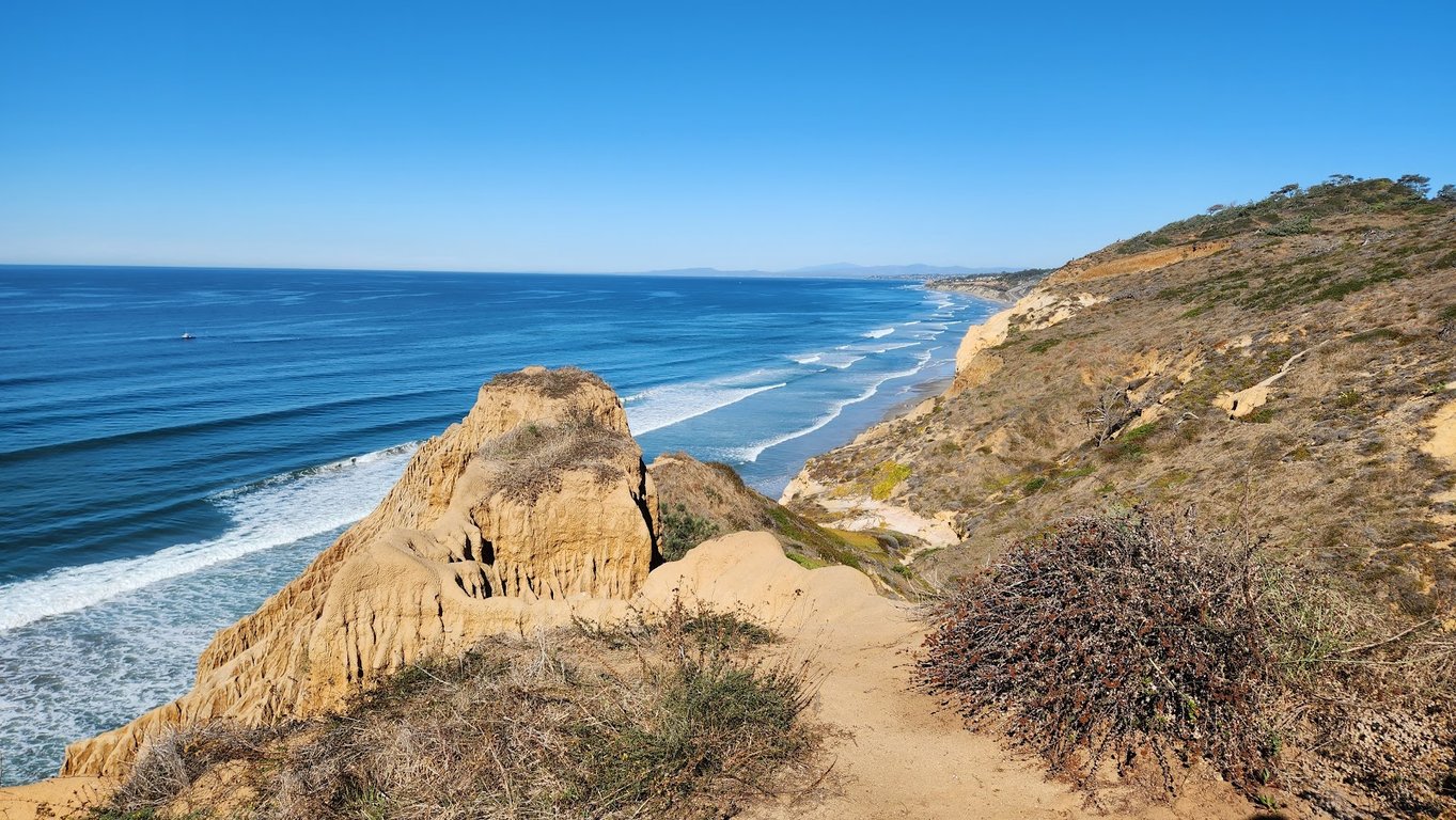 Torrey Pines State Reserve