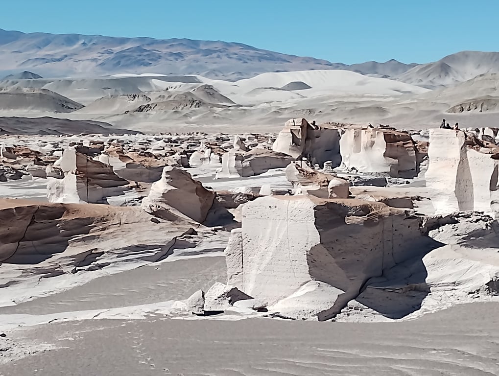 Campo de Piedra Pómez