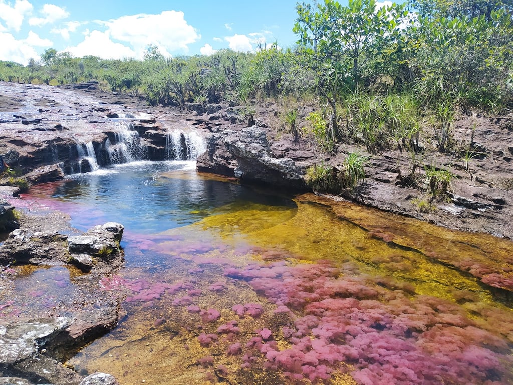 Caño Cristales River