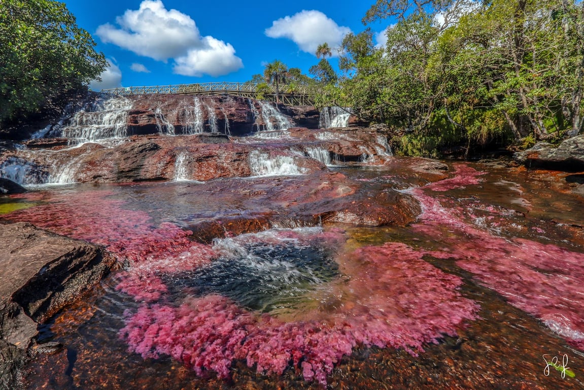 Caño Cristales River