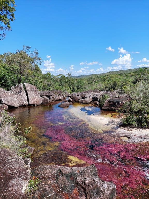 Caño Cristales River