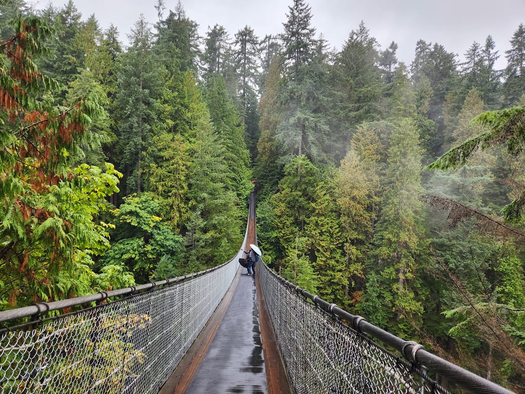 Capilano Suspension Bridge