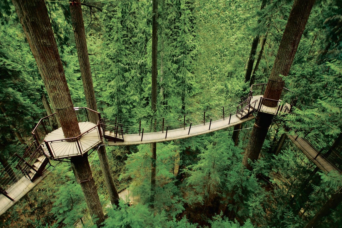 Capilano Suspension Bridge