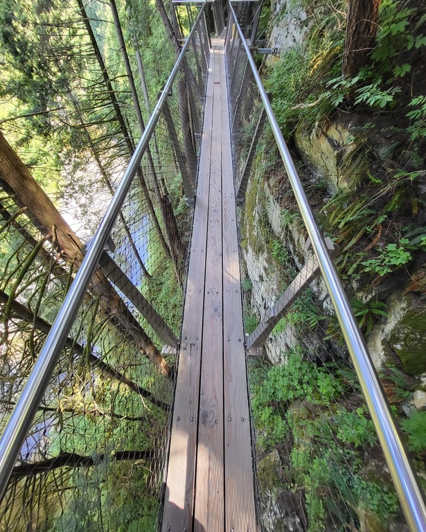 Capilano Suspension Bridge