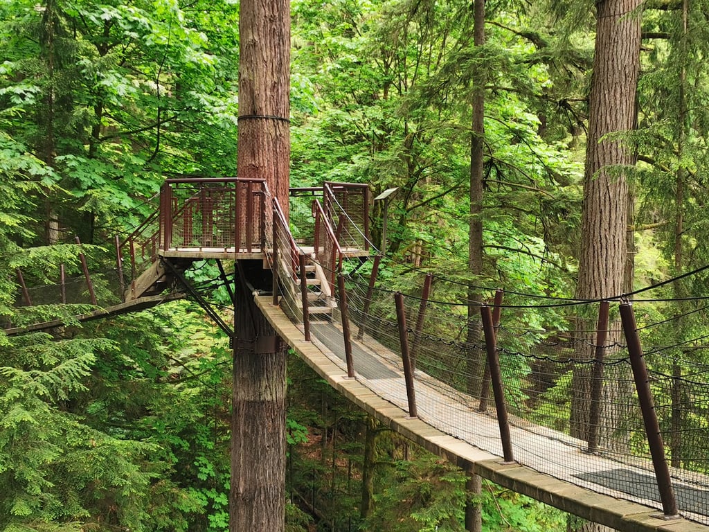 Capilano Suspension Bridge