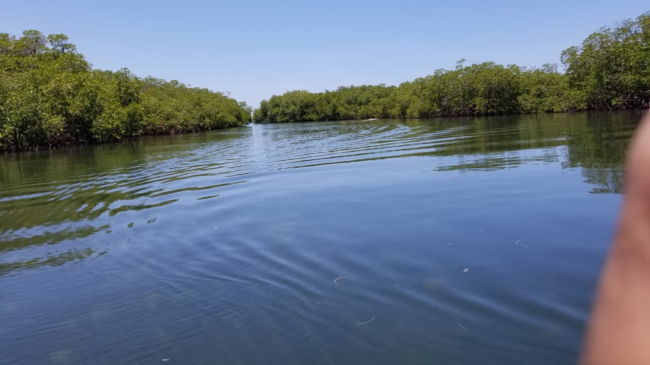 Cayo Arena Sandbar