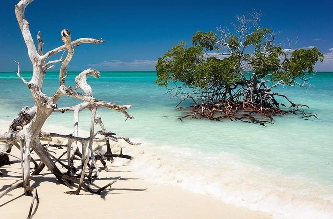 Cayo Levisa