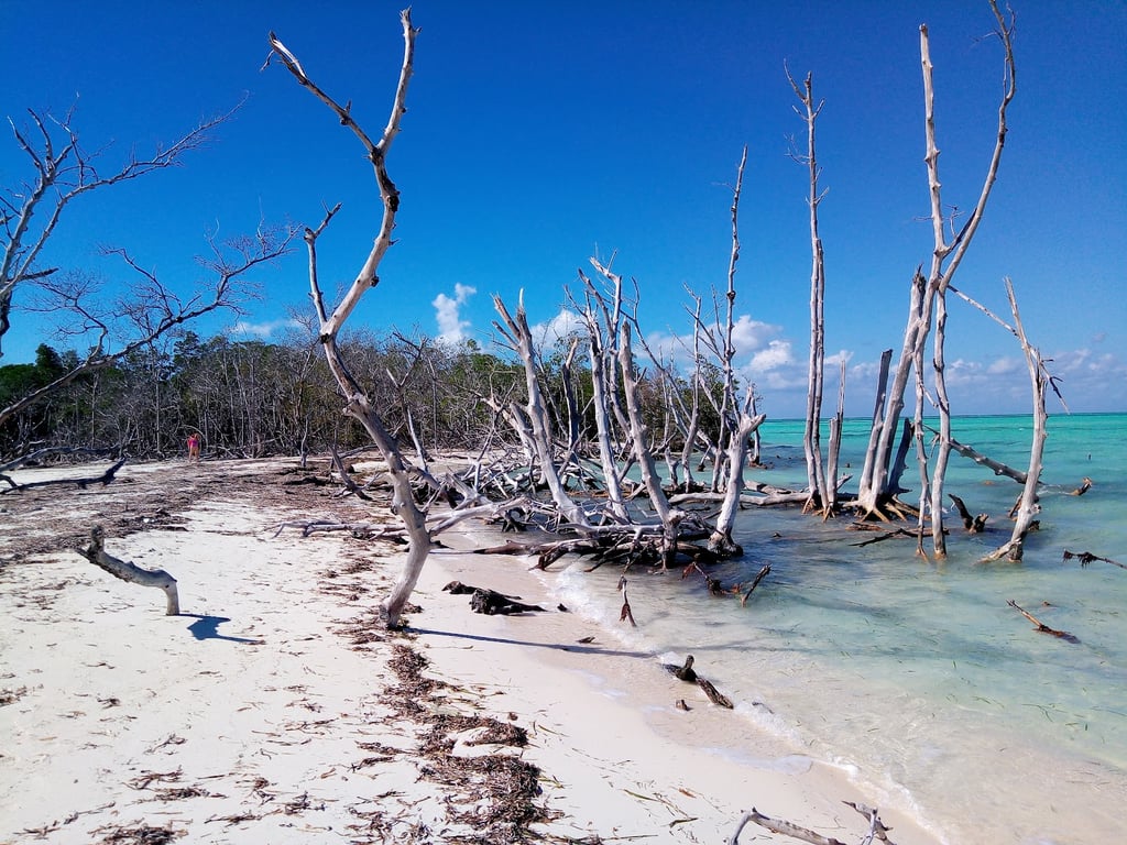 Cayo Levisa