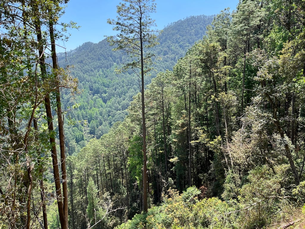 Celaque National Park