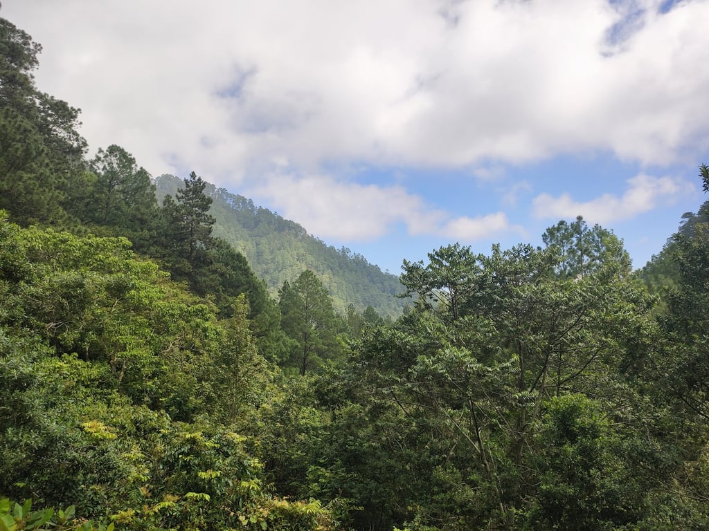 Celaque National Park