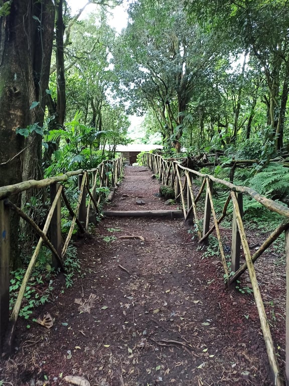 Cerro Verde National Park
